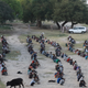 Daily wagers wait on the Yamuna bank river to be transferred to shelter homes